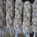 2016 New Crop Frischer Knoblauch aus China (Top-Qualität)